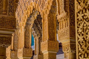 Alhambra de Granada van Lizanne van Spanje