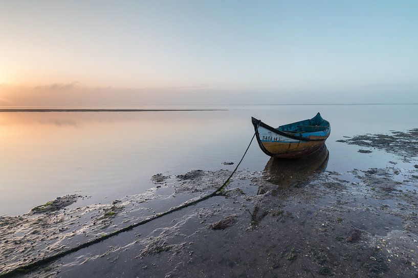 Moliceiro by Heidi Bol