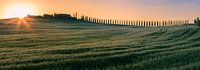 Sonnenaufgang Agriturismo Poggio Covili, Toskana von Henk Meijer Photography Miniaturansicht