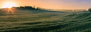 Sonnenaufgang Agriturismo Poggio Covili, Toskana