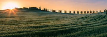 Sunrise Agriturismo Poggio Covili, Tuscany by Henk Meijer Photography