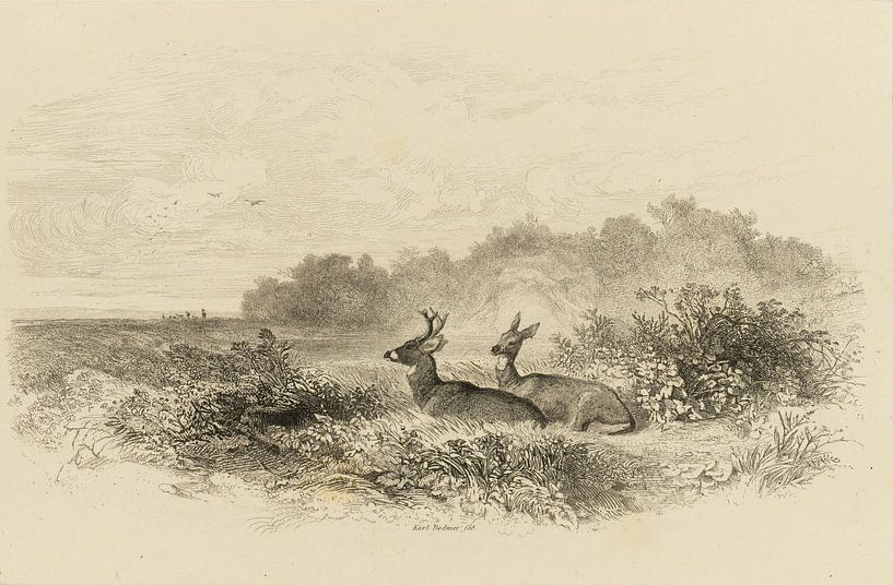 Hirsch und Hirschkuh in einer Landschaft, Bodmer, Karl von Teylers Museum