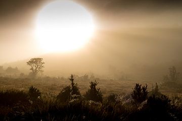 Zonsopgang in Sri Lanka: een mysterieus landschap tijdens een ochtendwandeling van Hein Fleuren