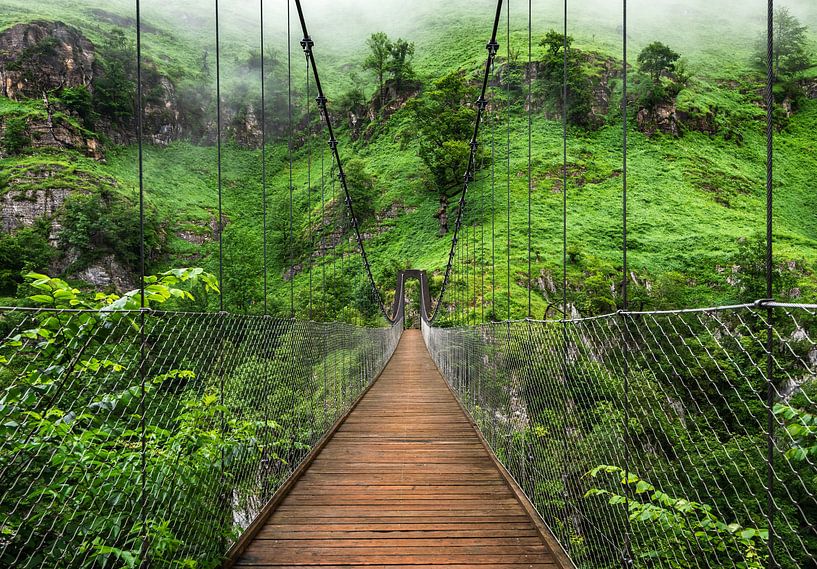 Passerelle d'holzarte par Arnaud Bertrande
