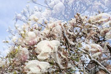 Double enregistrement