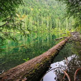 Reflecties in een bergmeer op Vancouver Island van Louise Poortvliet