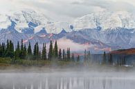 Denali berg in Alaska van Menno Schaefer thumbnail
