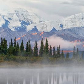 Denali berg in Alaska