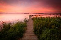 Sunset 't Roegwold