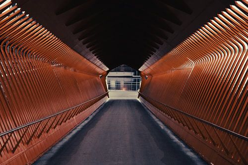 Tunnel pour bicyclettes à Anvers