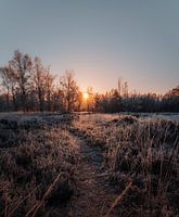 Zonsopkomst