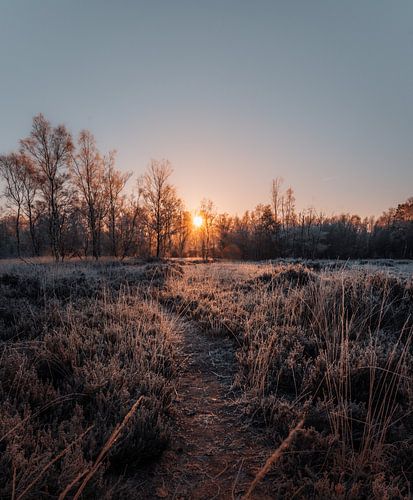 Zonsopkomst van Andreas Vanhoutte