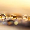 Golden drops van Carla Mesken-Dijkhoff