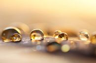 Golden drops von Carla Mesken-Dijkhoff Miniaturansicht