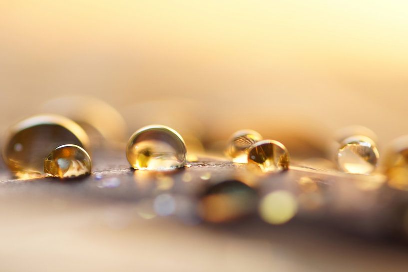 Golden drops von Carla Mesken-Dijkhoff