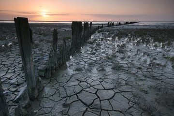 Wadden Meer, die Niederlande. von AGAMI Photo Agency