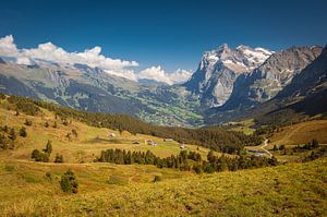Grindelwald