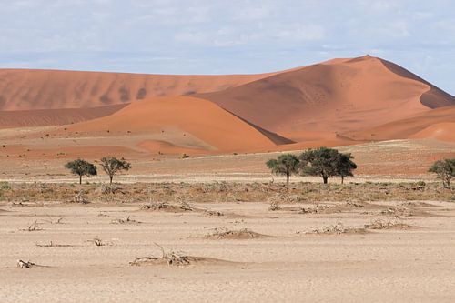 Namib Desert van Rick van der Weijde