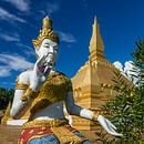 Kleine Stupa met boeddha in Luang Namta, Laos van Theo Molenaar thumbnail