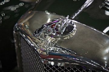 Jaguar SS logo van Rob Boon