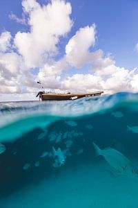 Klein Bonaire sous l'eau sur Andy Troy
