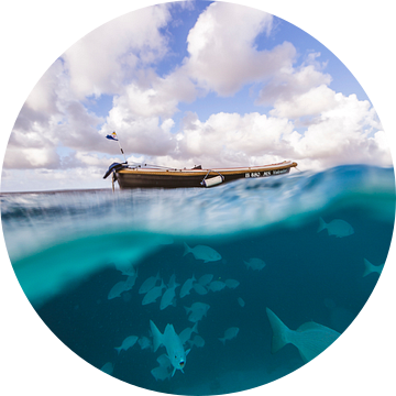 Klein Bonaire onderwater van Andy Troy