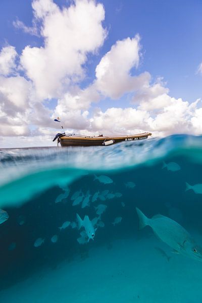 Klein Bonaire onderwater van Andy Troy