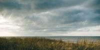 Storm by the sea
