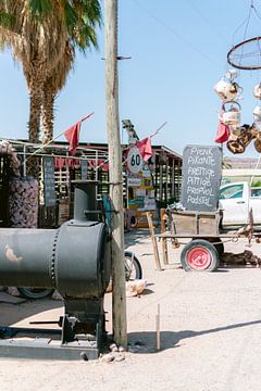 Vrolijke zomer vibes | Reisfotografie | Zuid-Afrika van Sanne Dost