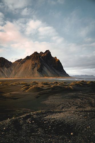 Corne d'Islande de Vestra
