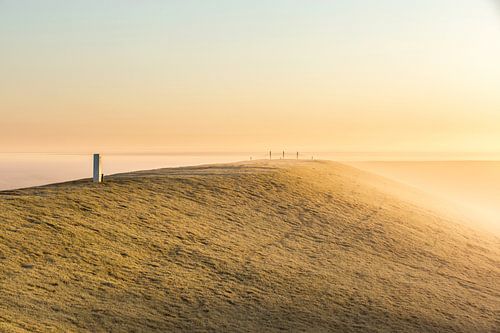 Waddengebied bij De Punt van Reide