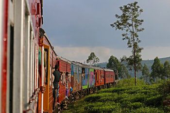 Train ride through the tea fields of Sri Lanka