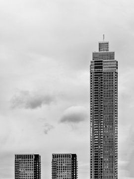 The Zalmhaven tower in Rotterdam by Wil Crooymans