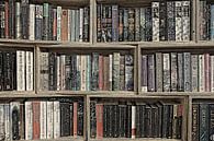 Boeken in boekenkast van Yvonne Smits thumbnail