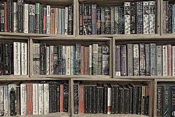 Books in bookcase by Yvonne Smits