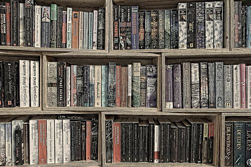 Books in bookcase