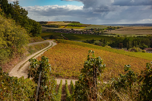Region Aube-Champagne