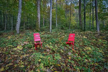 Rote Stühle