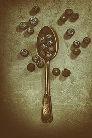 Blaubeeren zum Essen von Tichelaarfotografie
