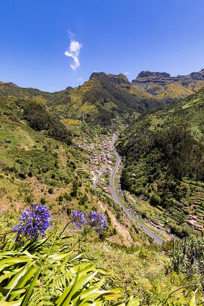 Vallei bij Serra de Água op Madeira van Werner Dieterich