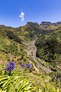 Vallei bij Serra de Água op Madeira van Werner Dieterich thumbnail