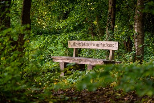 Wooden Bench van Ronald Smeets Photography