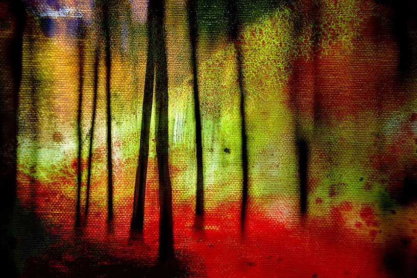 Strawberry fields forever van Saskia Nelissen