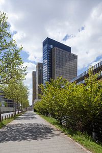 Europäischer Gerichtshof, Luxemburg