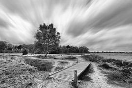 Long Exposure Balloërveld with bridge and floating clouds in black and white