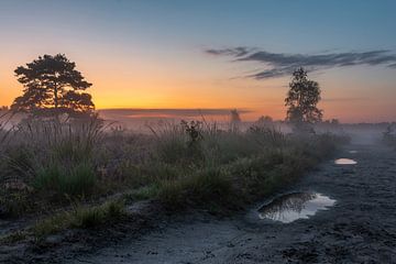 Going out early by Maurice Vroegrijk