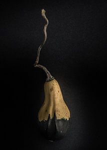 Gourds No 16 Color Version