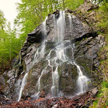 Radau waterval in het Harz gebergte van Heiko Kueverling