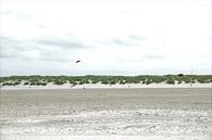 Aan de Zeeuwse Kust... by DoDiLa Foto's thumbnail