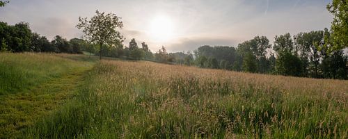 Boomgaard Bellet bij het Geuldal in Cottessen